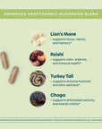 Mushroom Complex · Cognitive & Immune Support