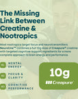 Neurotine™ Nootropic + Creatine Drink Mix Variety Pack