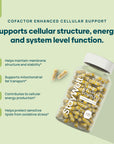 C15:0 Cellular Complex |Longevity, Membrane + Mitochondrial Support