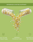 C15:0 Cellular Complex |Longevity, Membrane + Mitochondrial Support