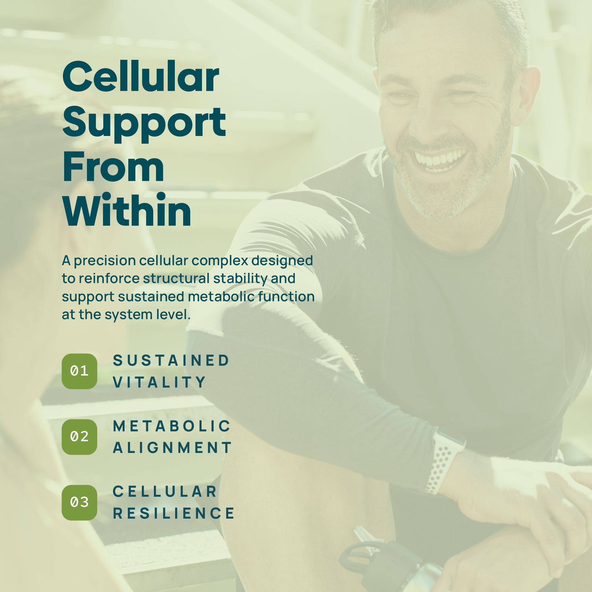 C15:0 Cellular Complex |Longevity, Membrane + Mitochondrial Support