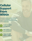 C15:0 Cellular Complex |Longevity, Membrane + Mitochondrial Support