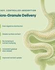 C15:0 Cellular Complex |Longevity, Membrane + Mitochondrial Support