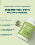 Mushroom Complex · Cognitive & Immune Support