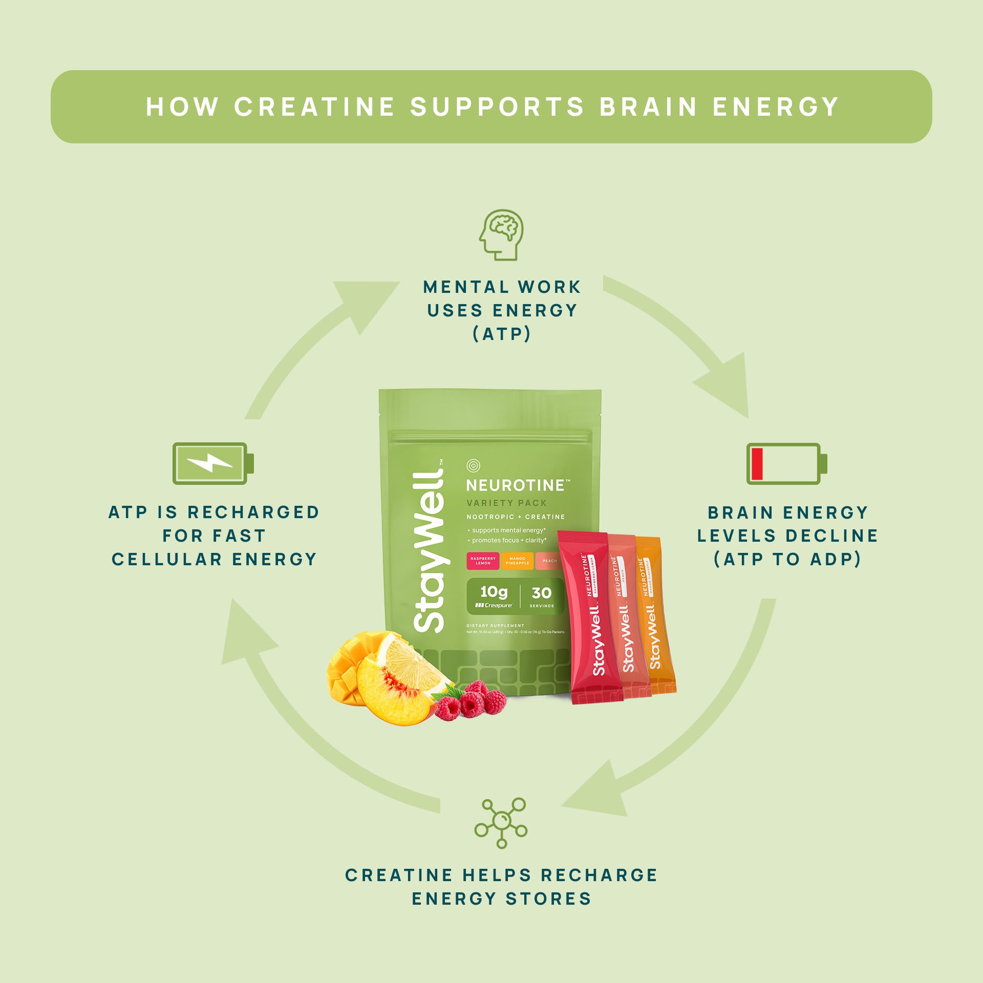 Neurotine™ Nootropic + Creatine Drink Mix Variety Pack
