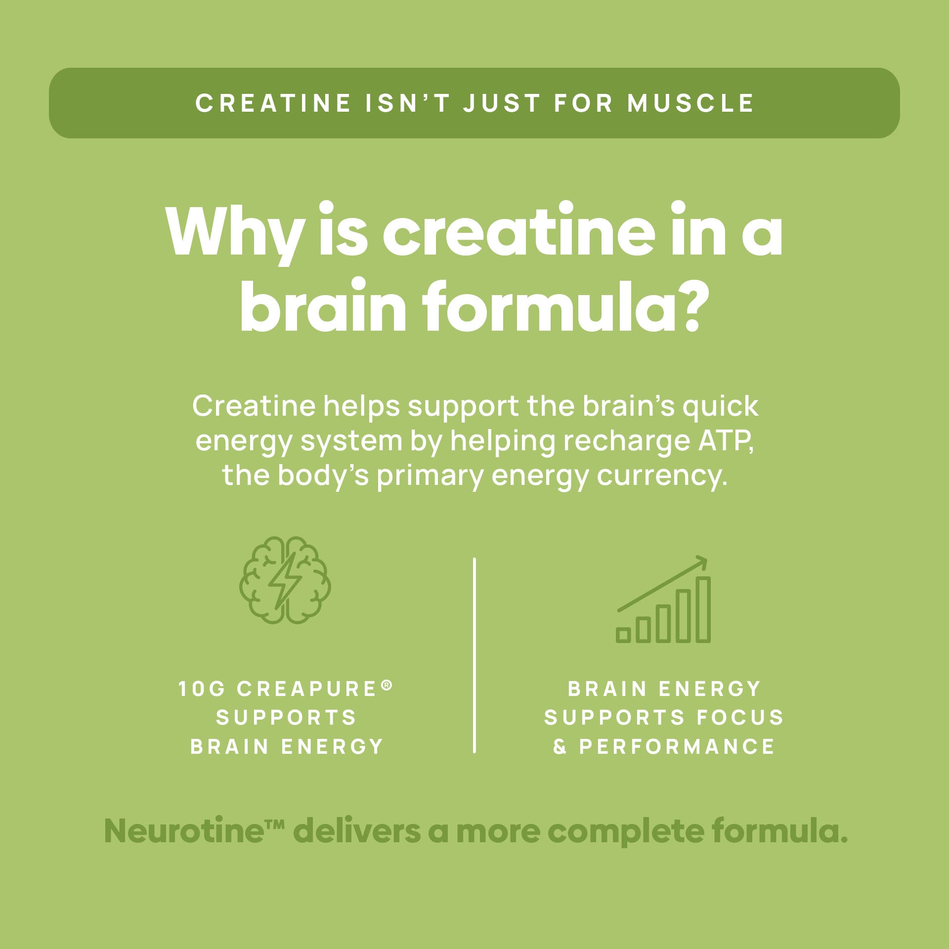 Neurotine™ Nootropic + Creatine Drink Mix Variety Pack